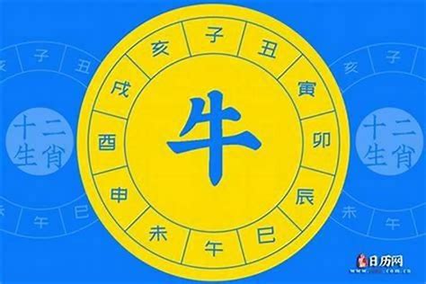 84属什么|84年属什么生肖 1984年出生什么生肖什么命